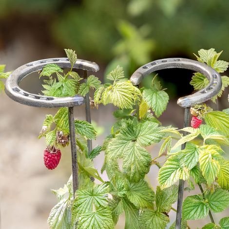 2 Pcs Horseshoe Adjustable Shoe Metal Tall Plant Support for Outdoor Plants Stakes Ring Cages & Supports for Indoor Plants Single Stem Metal Plant Support Half Round Ring (1/5)