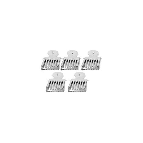 5 pièces en acier inoxydable abeille Clip Cages reine abeille attrape Cage apiculteur attraper outil équipement d'apiculture