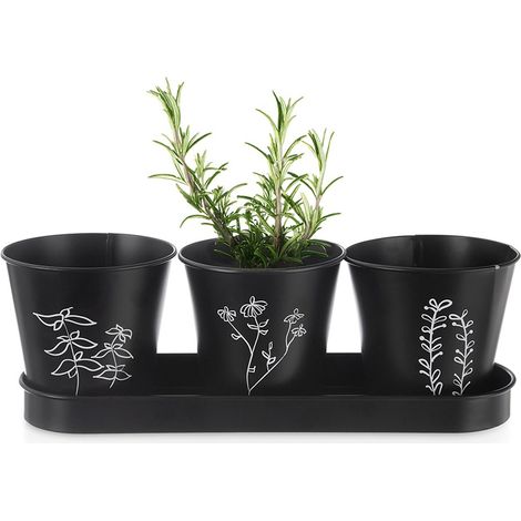 Maceta para hierbas con soporte BLACKLINE, 4 unidades.