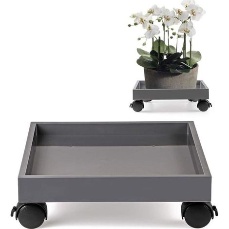 Supporto Vaso di Fiori Con una Ruota, Porta la Pianta Ha le Ruote e un Piattino Per l'Impianto di Abs, Di Spostare Le Fioriere, Piante in Vaso e Fiori Di Ponte, Capacità di Carico 50 kg(Piazza) - RWRo (1/5)