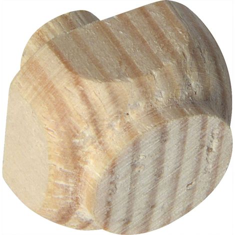 Clou décoratif en bois, 10 x 10 mm, cônes Ø 10 mm – Clou décoratif en bois, pin brut