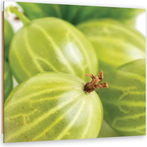 Quadro deco panel, Macroeatro - 60x60 (1/5)