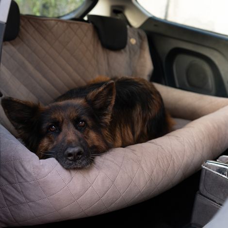 Seggiolino auto per cani Extreme Uttario Beige (1/5)
