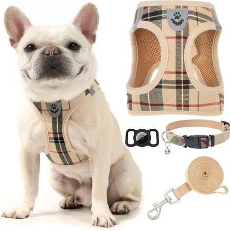 Harnais à Carreaux pour Petit Chien, avec Collier, Laisse et étui, rembourré et Souple, Anti-Traction, réfléchissant, à Enfiler, Kaki, Taille M (1/5)