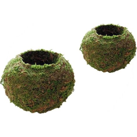 Pot Bonsaï - Support Fleurs Mousse - Pour Terrasse Jardin Intérieur - Lot de 2 (6 cm et 12 cm) (1/5)