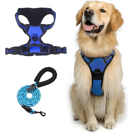 Harnais pour chien avec laisse, Modèle gilet respirant – Bandes réfléchissantes, anti-traction – Réglable – Adapté à toutes les tailles, Taille S (1/5)