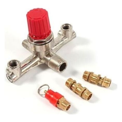 Valve de Régulateur de Pression d'Air Double Tube de Sortie Raccord en Alliage de Zinc avec Réglage (1/4)