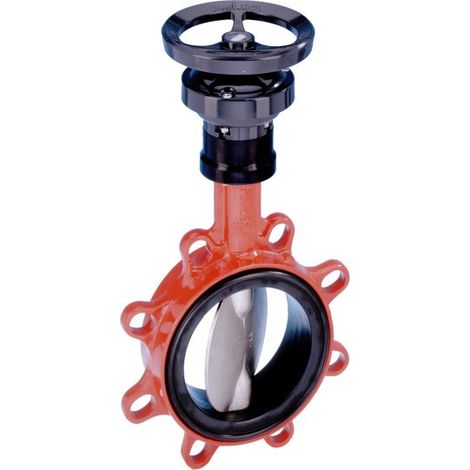 Vanne papillon à soufflet EPDM BOAX-S DN65 avec réducteur