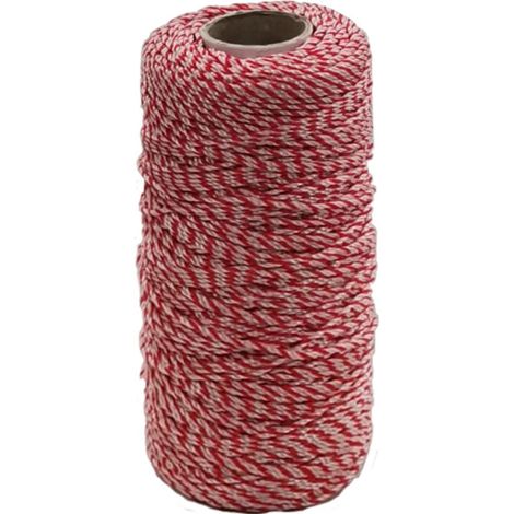 LENZA P/MURATORE IN PP BIANCO ROSSO 200 M Q.TA 5