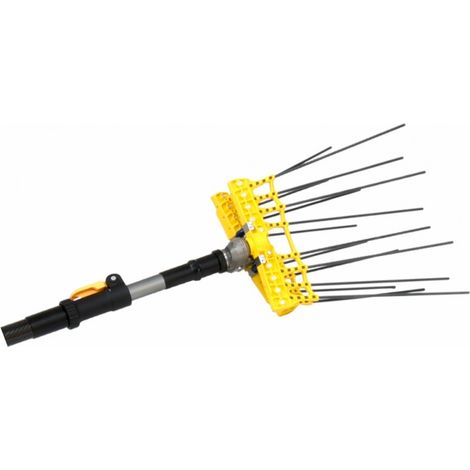 Abbacchiatore Elettrico Lisam Swing 12v (1/2)