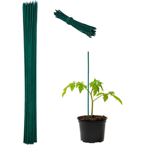 Bastoncini per fiori da 60 cm in set da 50