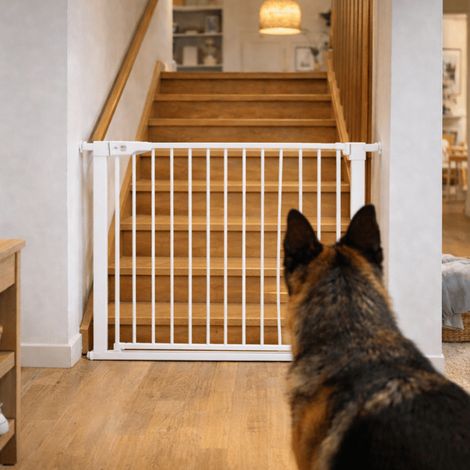 Treppenschutzgitter für Hunde, Breite 145-152 cm, Türbarriere, erweiterbar (1/5)