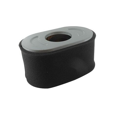 Luftfilter Air BRIGGS et STRATTON 797032 - 797033 - 798504