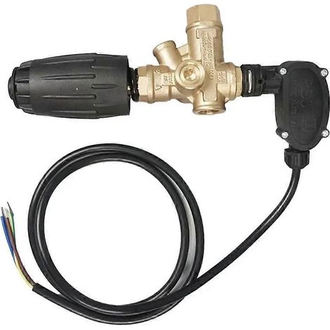 Améliorez votre équipement : pompe de nettoyage efficace avec soupape de décharge et pressostat intégré pour systèmes VRT3 310PS6 (1/5)