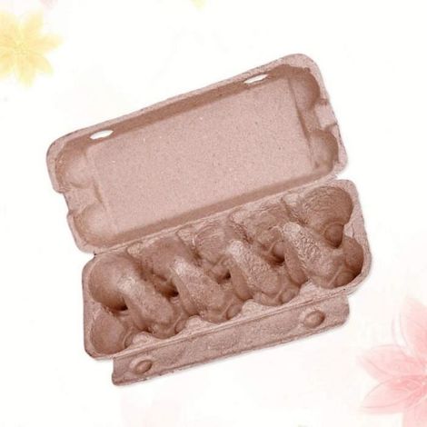 10 PcsPlateau à Oeufs Boîte de Rangement pour Oeufs Pliable Carton Portable 10 Grille Support à Oeufs Poulet Équipement Agricole (1/4)
