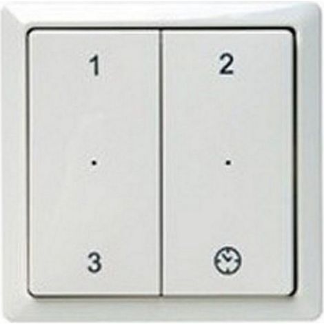 Storch RFZ 655000755 - RFZ-Fernbedienung