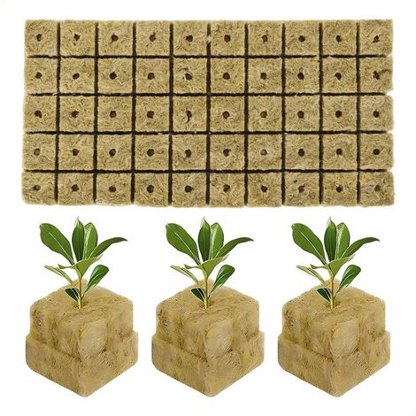 New50 Bloques Esponja Hidropona Para Plantulas Bbpp (1/5)
