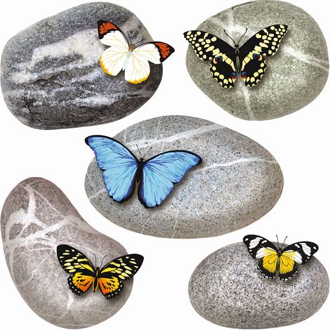 sticker mural galets gris, jaune et bleu - Sanders & Sanders