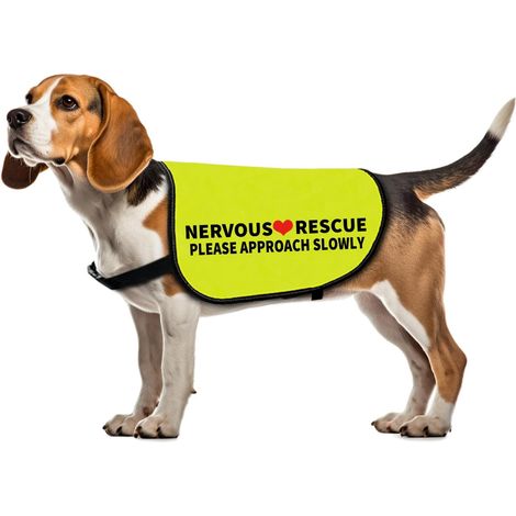 Veste de sauvetage pour chien Nervous Rescue Please Approach Slowly - Slogan d'avertissement (Approach Slowly-M) (1/5)