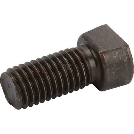 Tornillo 12x37 10.9 orig. J NIEMEYER 502500