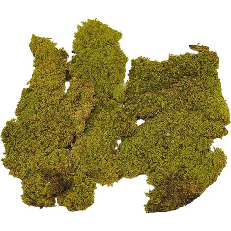 Muschio in scatola secco tappeto naturale per presepe 550 gr decorazione natalizia (1/5)