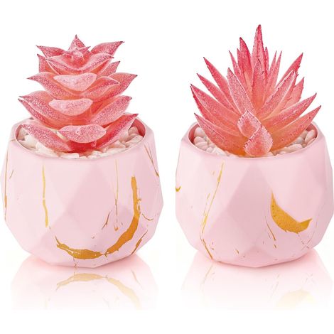 Lot de 2 petites plantes grasses artificielles dans des pots roses (1/5)