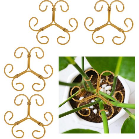 4 supports de tige en fer pour Monstera, pour plantes d'intérieur, anneaux de support pour tiges de plantes.
