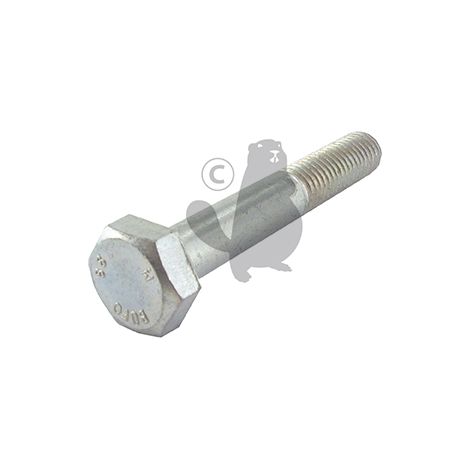 Vite testa héxagonale M10 x 65 mm GGP - CASTELGARDEN 9997-1065-12