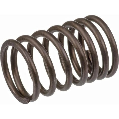 Molla per valvola BRIGGS ET STRATTON 690520 260552
