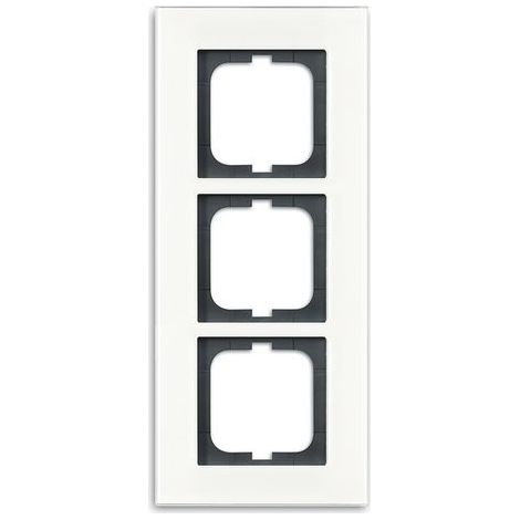 BUSCH-JAEGER 1723 KIT DE CEINTURE POUR CADRE (1/3)