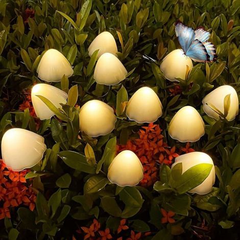Guirlande Lumineuse Champignon - 30 LED Solaires Étanches - Pour Jardin Allée Extérieur - 6,5 M - 1 Pièce (1/3)