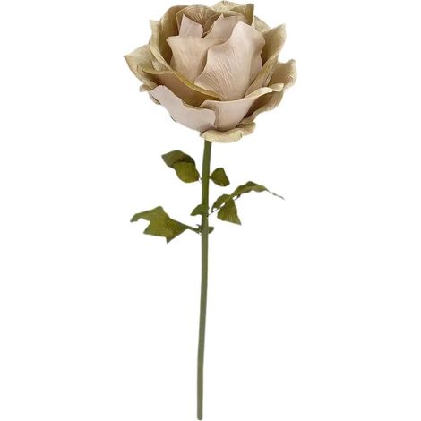 Rosa decorativa Beatrix champagne H130 cm