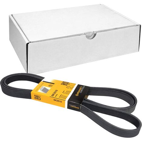 Cinghia multi-nervata CONTITECH 6 PK 2510 (1/4)