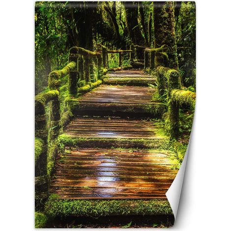 Papier peint Pont dans une forêt verdoyante 100x140 (1/5)