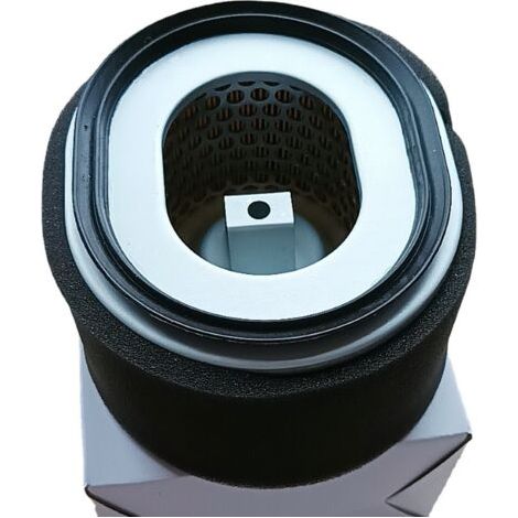 Cet élément filtrant est compatible avec les moteurs Yanmar L100N. Références : 114210-12590 / 114211-12510. Il offre une filtration haute performance. (1/2)