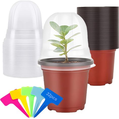 Godet Semis - 32 Pièces - Plastique PP - Avec Dôme Humidité - Jardin Intérieur Extérieur - 10 CM (1/5)