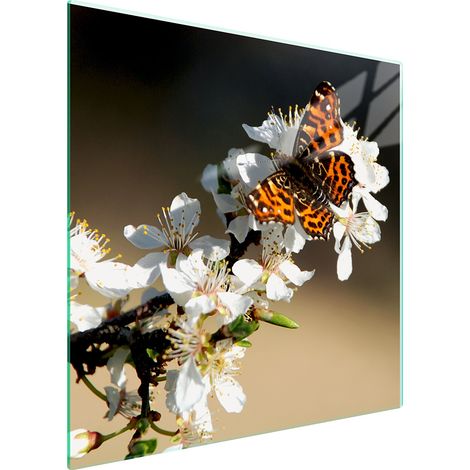 PLACA PROTECTORA DE VIDRIO PARA ESTUFA 50x52 CIRUELA (1/5)