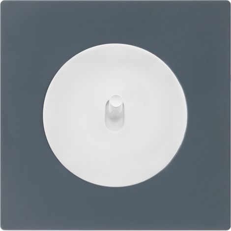 Commande volet roulant blanc - manette blanc glossy DOM + plaque simple blue grey (1/5)