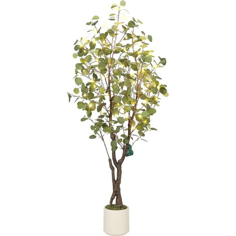 Eucalyptus Artificiel d'Intérieur, 210 cm (1/5)