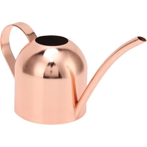 Arrosoir pour la maison,. (1/5)