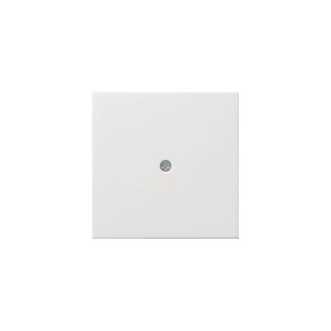 Plaque de finition Gira 0274112 thermoplastique blanc