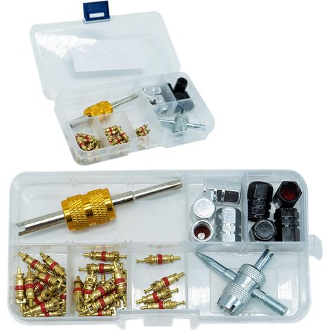 40Pcs Demonte Valve Pneu Outil Démonte obus de Valve Outil de Reparation avec Valve Core pour Voiture Remplacement, 4-1 Outil de Réparation de Valve de Pneu, Démonte Valve Pneu (1/5)