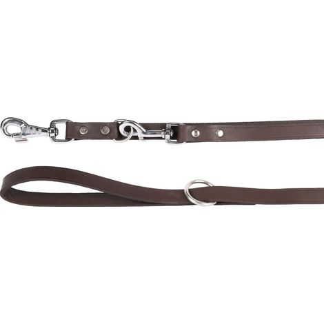 Laisse D'EINTRAÎNEMENT Brun Fonce 200CM 18MM