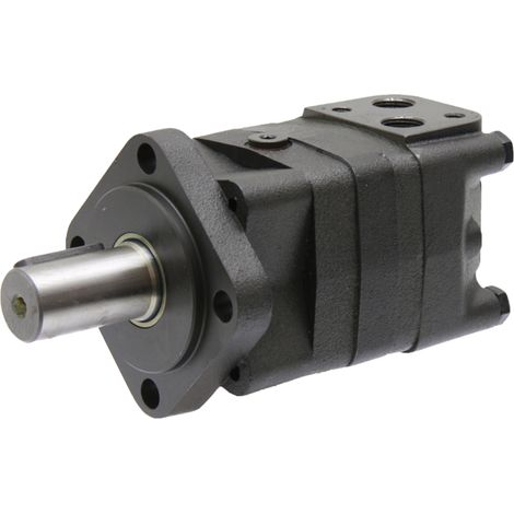 Motore BMS 080-E4 BD D=32mm 1/2 OMS 080 (1/2)