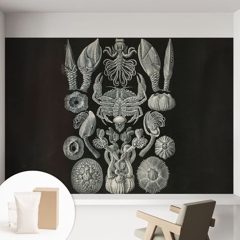 Papier peint intissé mural avec imprimé pour décoration pour salon pour chambre à coucher pour entrée Formes sous-marines 152x104 cm (1/5)