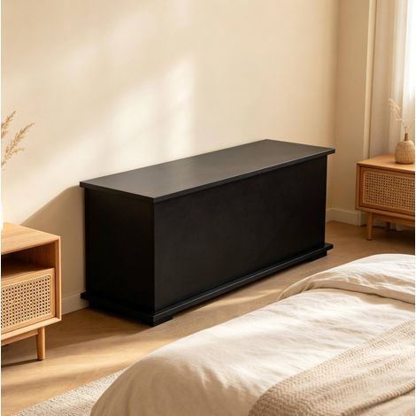 Panca contenitore multifunzione con coperchio ribaltabile, 100 x 40 x 40 cm, nero DESVIAE (1/5)