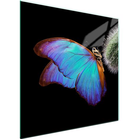 PLACA PROTECTORA DE VIDRIO PARA ESTUFA 50x52 MARIPOSA (1/5)