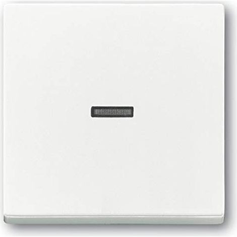 Interrupteur busch-jaeger 1789 n-84 thermoplast ip20
