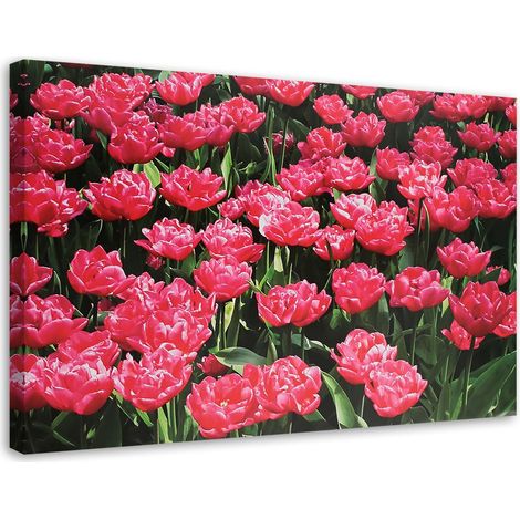 Tableau sur toile Tulipes roses Fleurs Nature 100x70 (1/5)