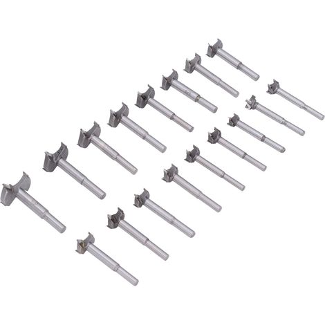 Set mit 17 Forstnerbohrern aus Kohlenstoffstahl, 15-40 mm, für Holzbearbeitung und diverse andere Aufgaben (1/5)